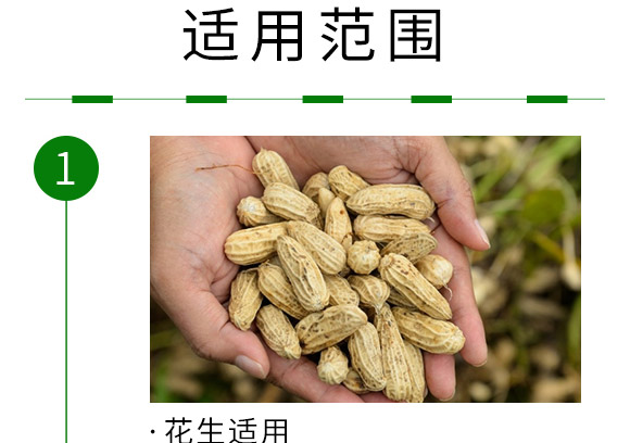 復合肥料15-15-15-糧在手-中儲糧