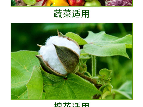 20%吡蟲·辛硫磷乳油-易地龍-諾達(dá)特