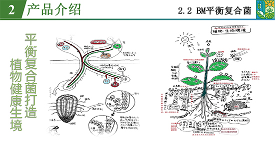 鑿屽惥緇嗙爺鍐滀笟綃嘷12.jpg