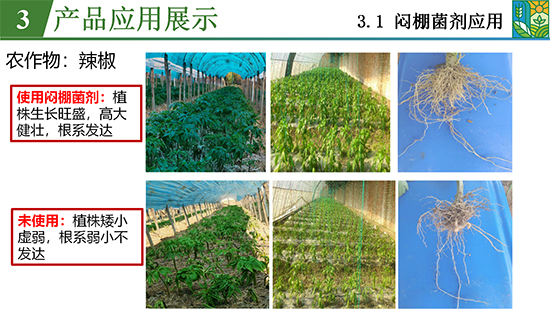 鑿屽惥緇嗙爺鍐滀笟綃嘷22.jpg