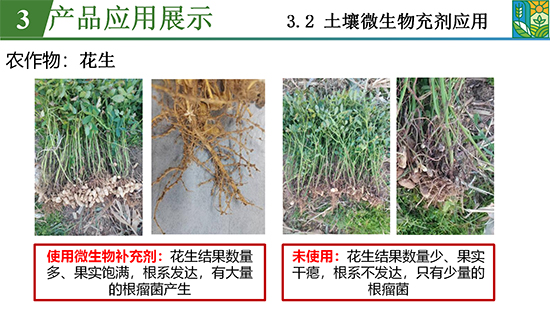 鑿屽惥緇嗙爺鍐滀笟綃嘷25.jpg