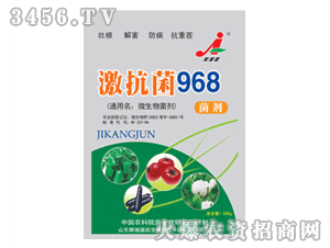 加加旺-激抗菌968菌劑(500g)