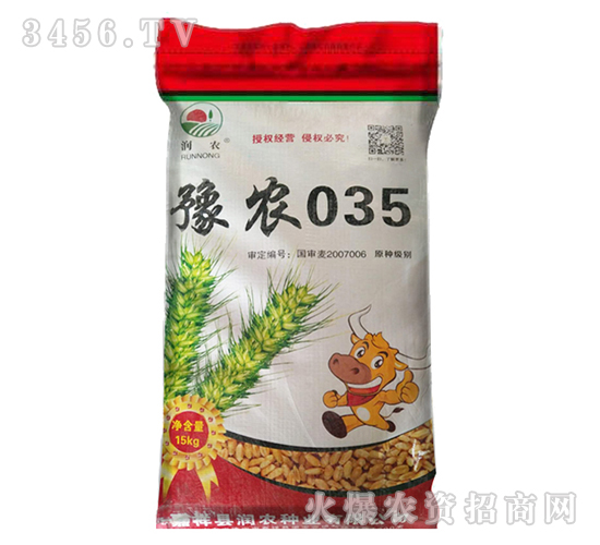 豫農(nóng)035-原種小麥種子-晨禾種業(yè)