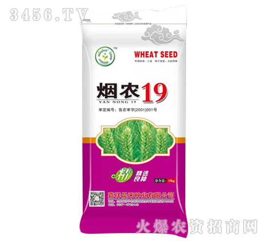 煙農19-小麥種子-晨禾種業(yè)