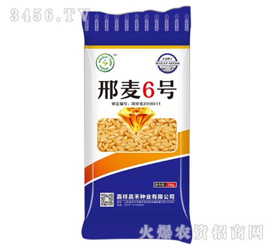 25kg邢麥6號(hào)-小麥種子-晨禾種業(yè)