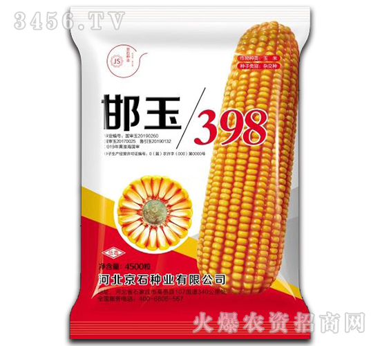 邯玉398（4500粒）-玉米種子-京石種業(yè)