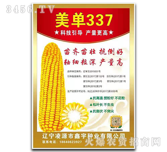 美單337-玉米種子-中科正高