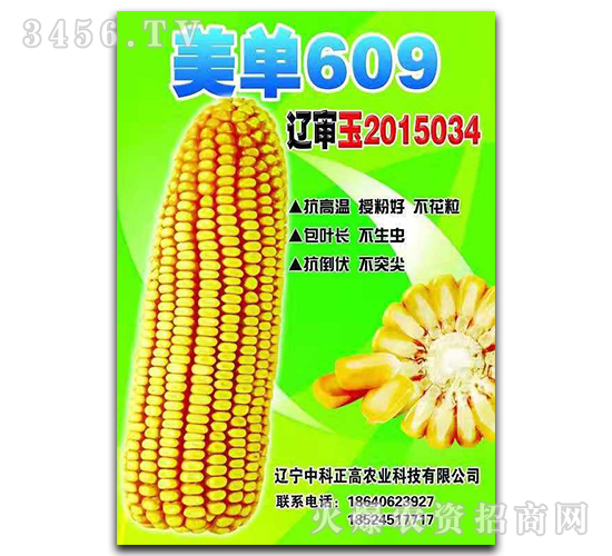 美單609-玉米種子-中科正高