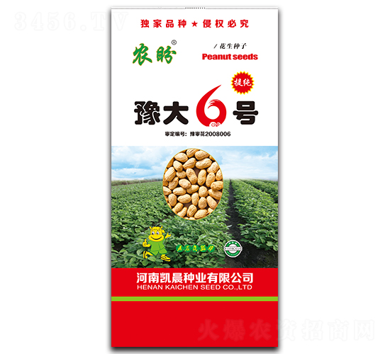 豫大6號(hào)花生種子-農(nóng)盼-凱晨種業(yè)