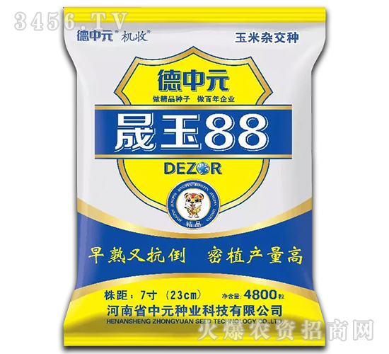 晟玉88-玉米種子-機(jī)收-德中元