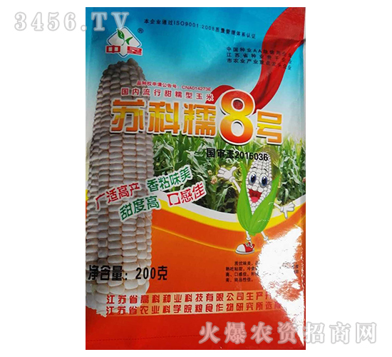 蘇科糯8號(hào)-玉米種子-高科種業(yè)