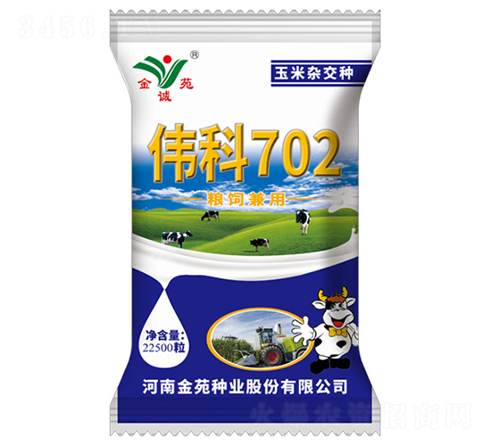 22500粒偉科702-玉米雜交種-金苑種業(yè)