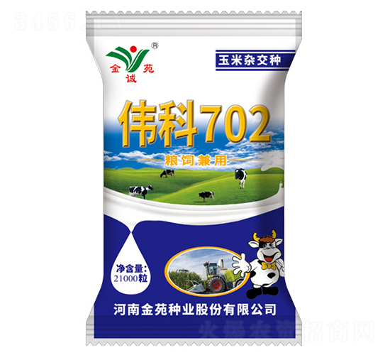 21000粒偉科702-玉米雜交種-金苑種業(yè)