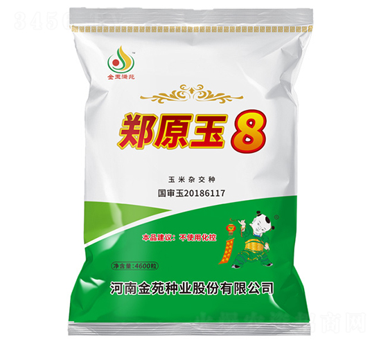 鄭原玉8-玉米種子-金苑種業(yè)