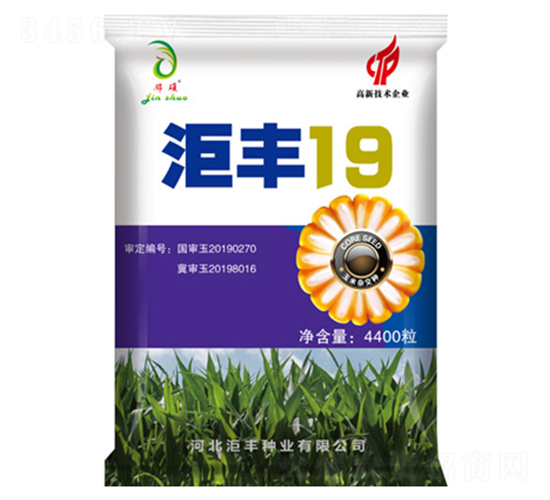 洰豐19-玉米種子-洰豐種業(yè)