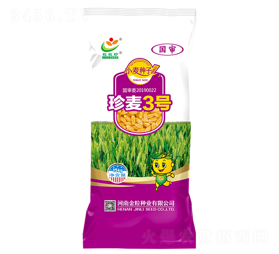 珍麥3號(hào)-小麥種子-金粒種業(yè)