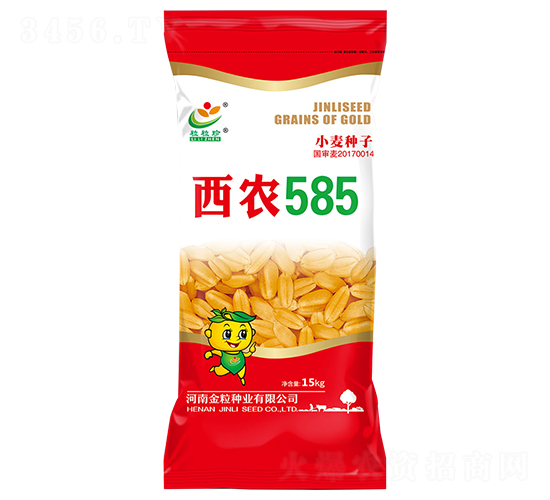 西農(nóng)585（15kg）-小麥種子-金粒種業(yè)