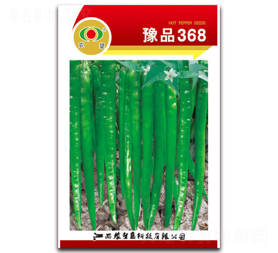 豫品368-線椒種子-農(nóng)望