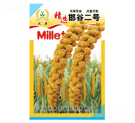 邯谷2號(hào)-水稻種子-沃育農(nóng)業(yè)