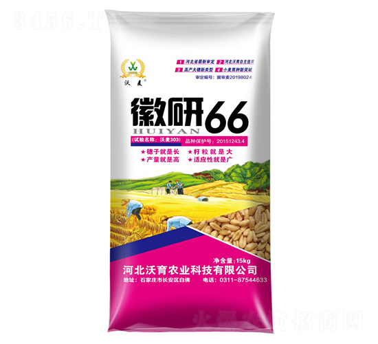 徽研66-小麥種子-沃育農(nóng)業(yè)