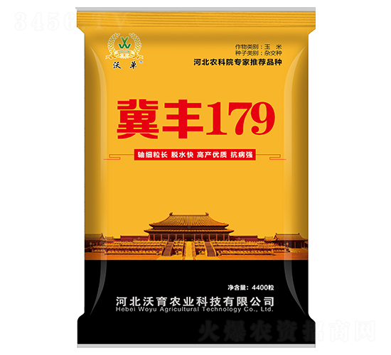 冀豐179-玉米種子-沃育農(nóng)業(yè)