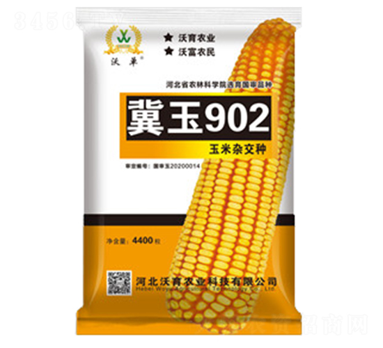 冀玉902-玉米種子-沃育農(nóng)業(yè)