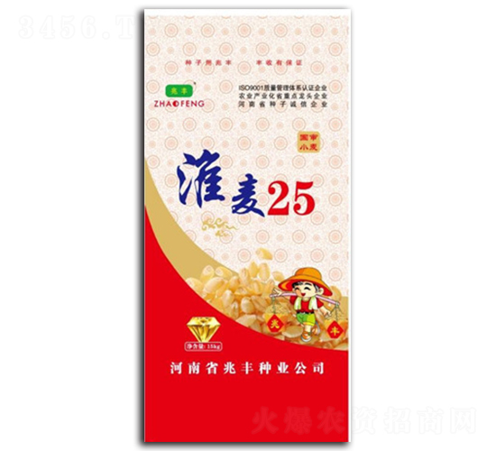 淮麥25-小麥種子-兆豐