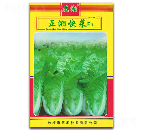 正湘快菜-白菜種子-正湘種業(yè)