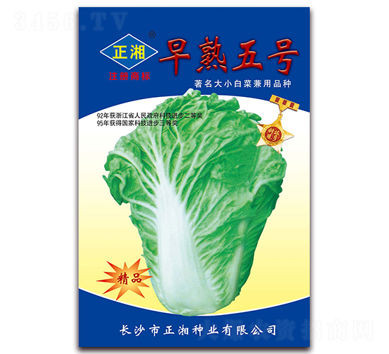 早熟5號(hào)-白菜種子-正湘種業(yè)