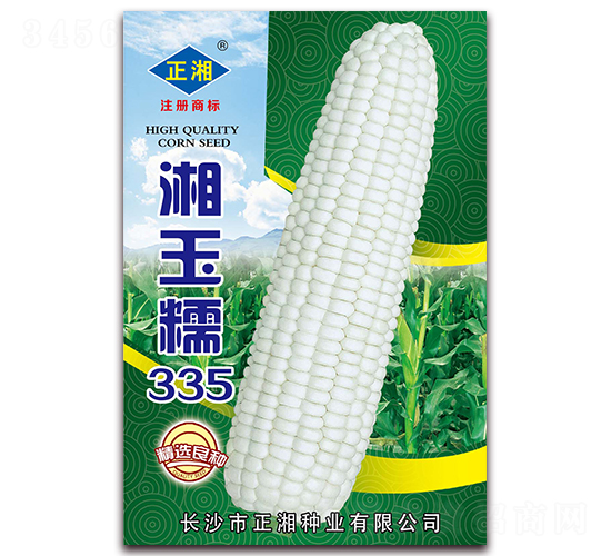 湘玉糯335-糯玉米種子-正湘種業(yè)