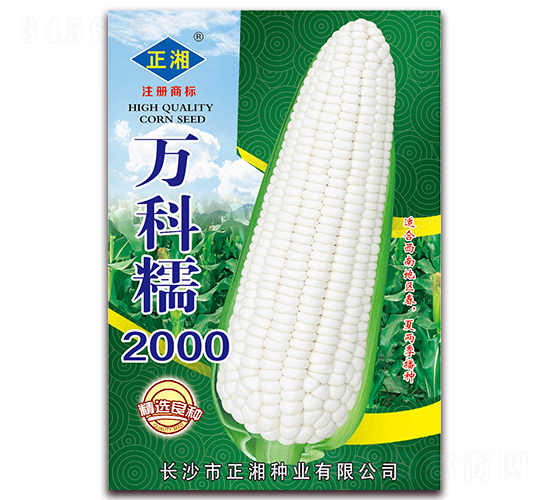 萬科糯2000-糯玉米種子-正湘種業(yè)