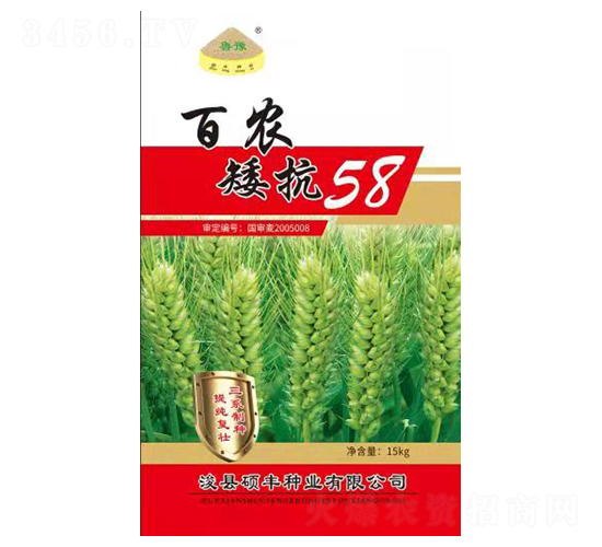 百農(nóng)矮抗58-小麥種子-碩豐