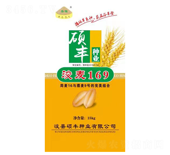 15kg浚麥169-小麥種子-碩豐