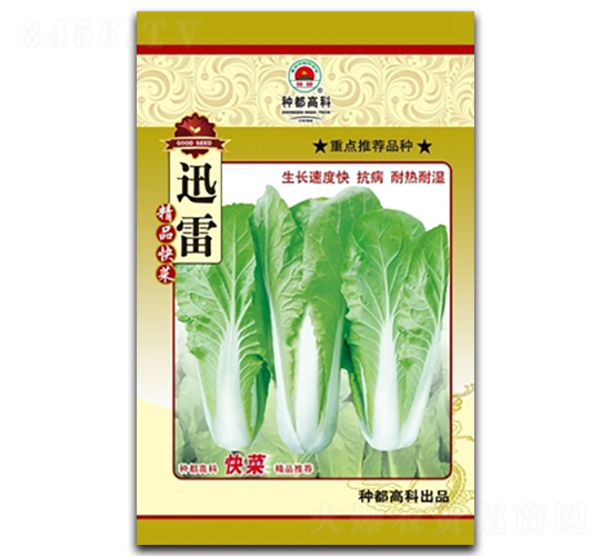 迅雷-小白菜種子-高科種業(yè)