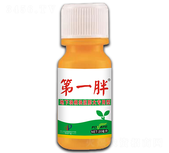 地下塊根塊莖膨大增產(chǎn)劑-第一胖-豐泰農(nóng)業(yè)