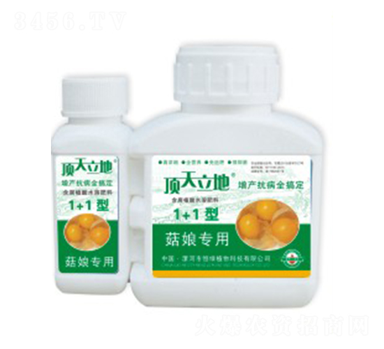 菇娘專用含腐植酸水溶肥料（1+1型）-頂天立地-恒綠植物