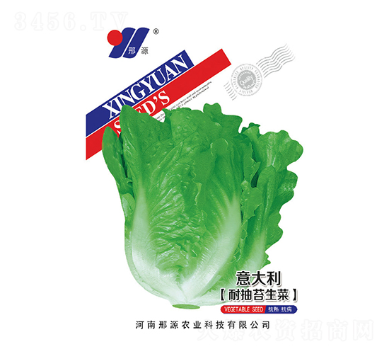 意大利耐抽苔生菜-葉菜種子-邢源農(nóng)業(yè)