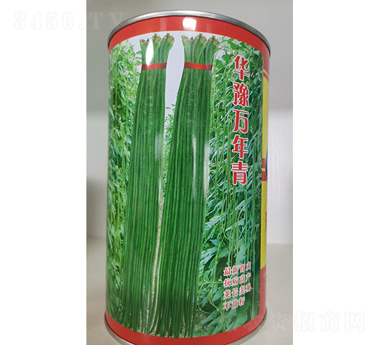 華豫萬年青（罐）-豇豆種子-邢源農(nóng)業(yè)