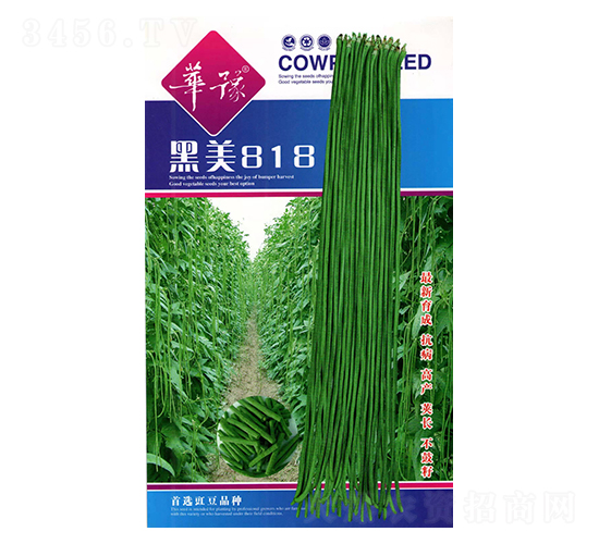 黑美818（200g）-豇豆種子-邢源農(nóng)業(yè)