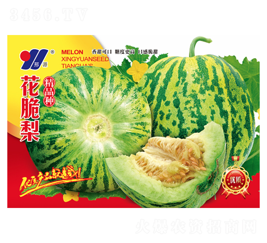 花脆梨精品種-甜瓜種子-邢源農(nóng)業(yè)