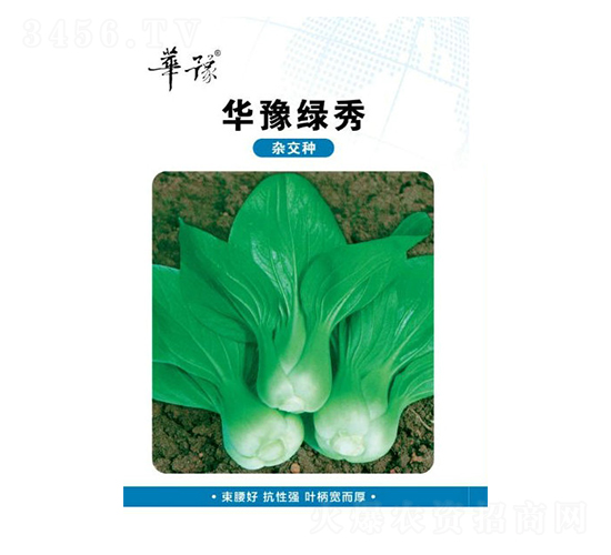 華豫綠秀-葉菜種子-邢源農(nóng)業(yè)