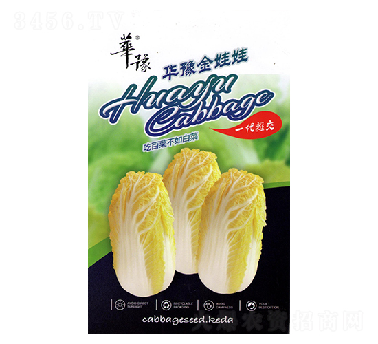 華豫金娃娃-白菜種子-邢源農(nóng)業(yè)