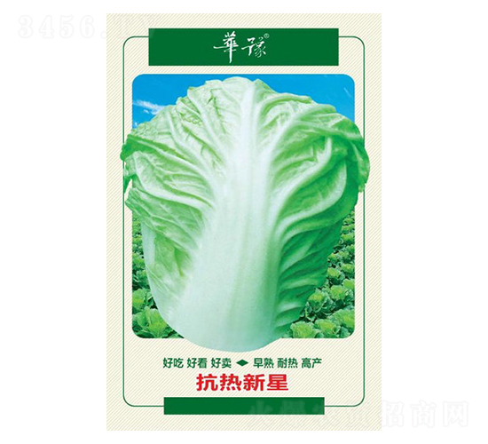 華豫-白菜種子-邢源農(nóng)業(yè)