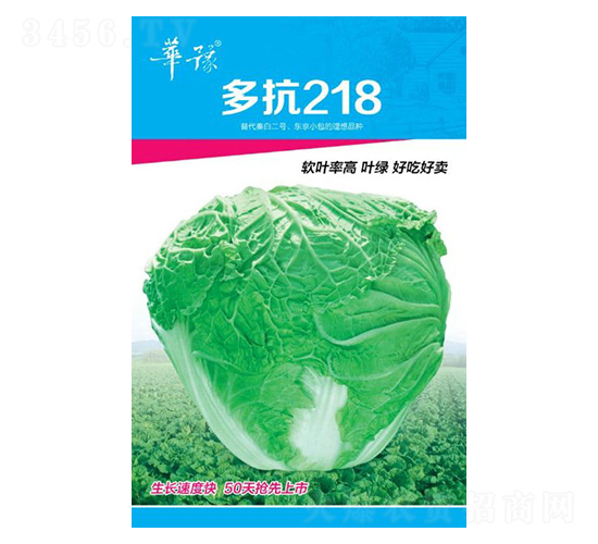 多抗218-白菜種子-邢源農(nóng)業(yè)