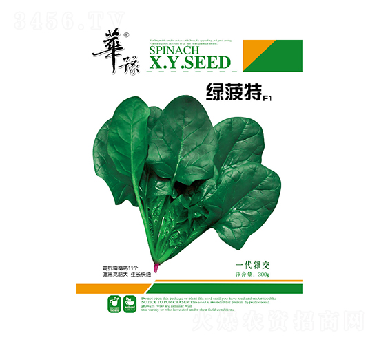 綠菠特F1-菠菜種子-邢源農(nóng)業(yè)