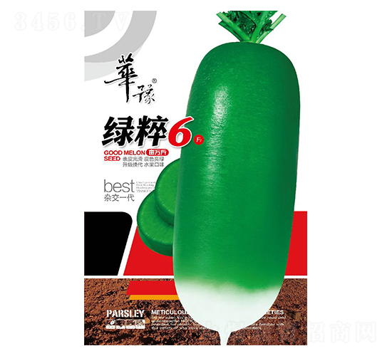 綠粹6-青蘿卜種子-邢源農(nóng)業(yè)