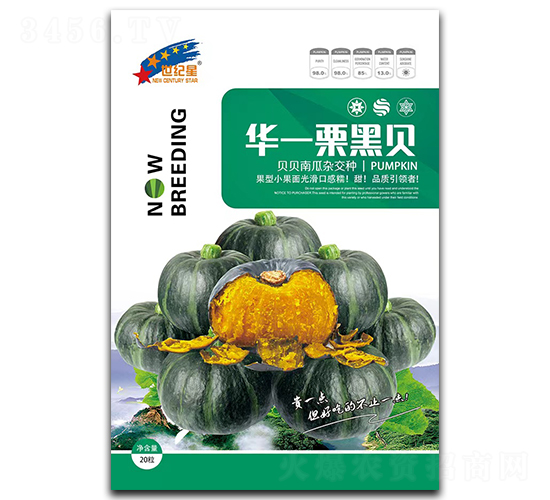 華一栗黑貝-南瓜種子-華一種業(yè)