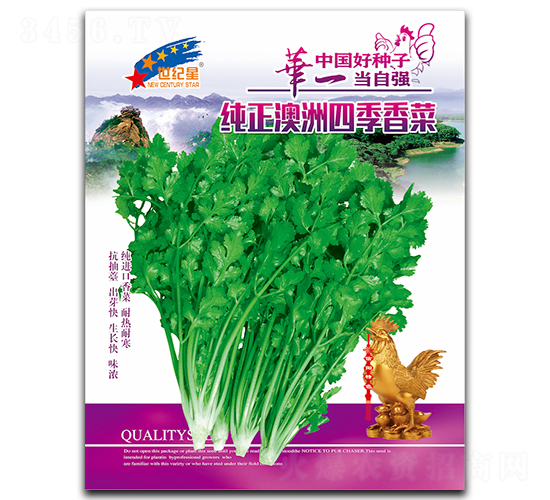 純正澳洲四季香菜-香菜種子-華一種業(yè)