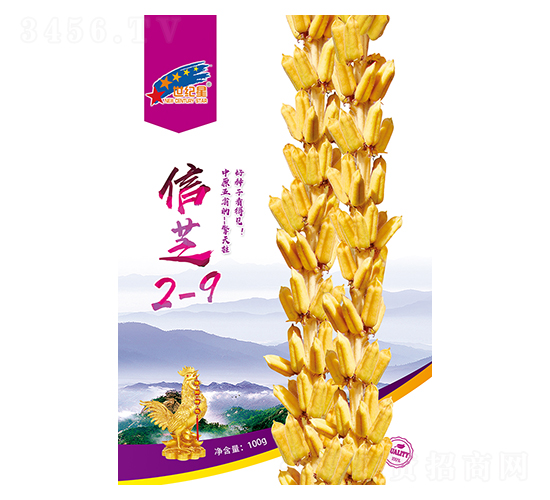 信芝2-9-芝麻種子-華一種業(yè)