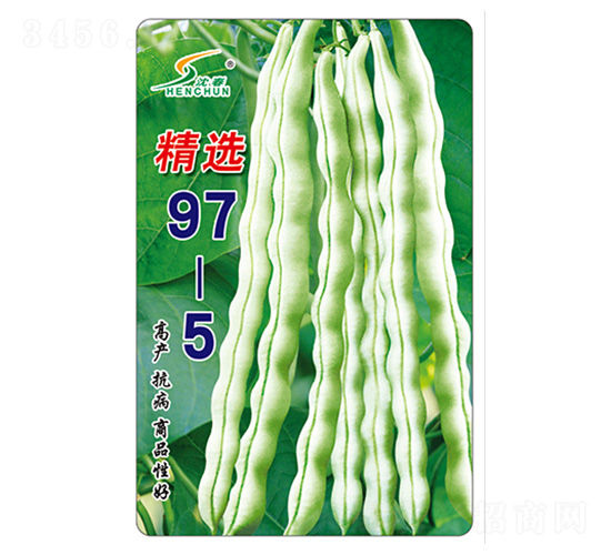 精選97-5-架豆種子-豐華種業(yè)